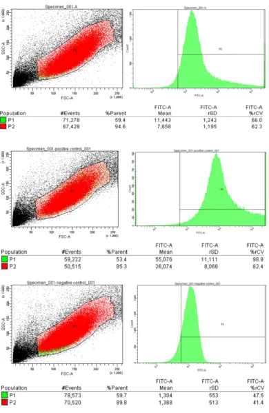 Fig. 5. Flow cytometry analysis of HIV-1 nef stop codon readthrough. A (Top): HEK 293T Cells transfected with pNefATI1 vector