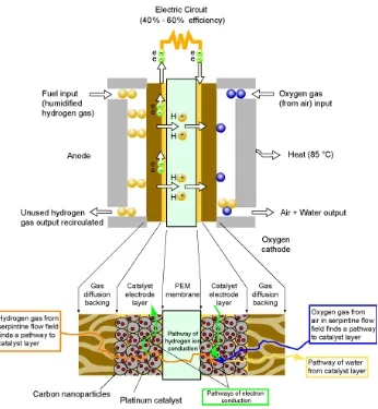 Figure 1.1. Schematic of hydrogen fuel cell. 