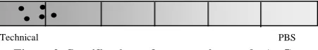 Figure 3: Specifications of services (n=10) 