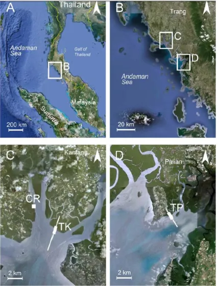 FIGURE 8 POSITIONING OF THE TWO WAVE TRANSECTS (HORSTMAN ET AL., 2012) 