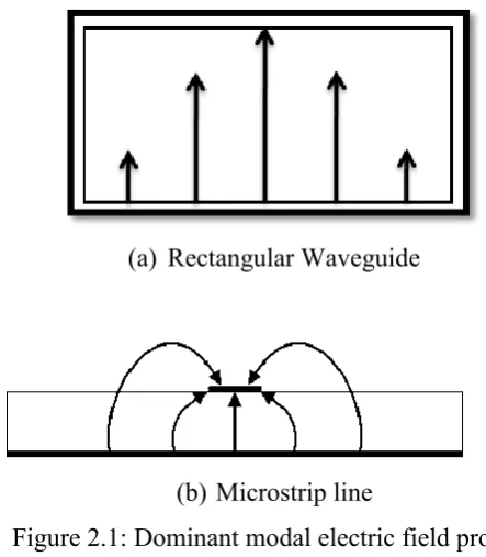 Figure 2.1: Dominant modal electric field profiles  