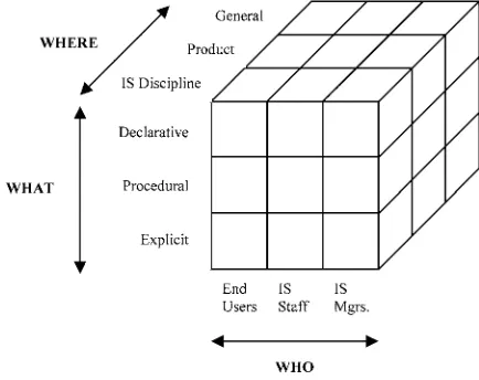 Fig. 1. Model of IS knowledge.