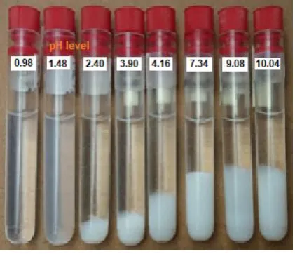 Figure 1. The appearance of TiCl4 aqueous solution 