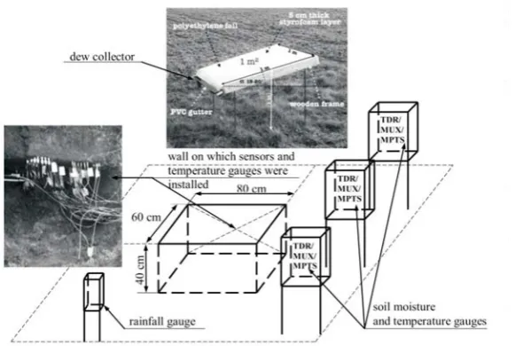 Fig. 2. Schematic presentation of experiment.