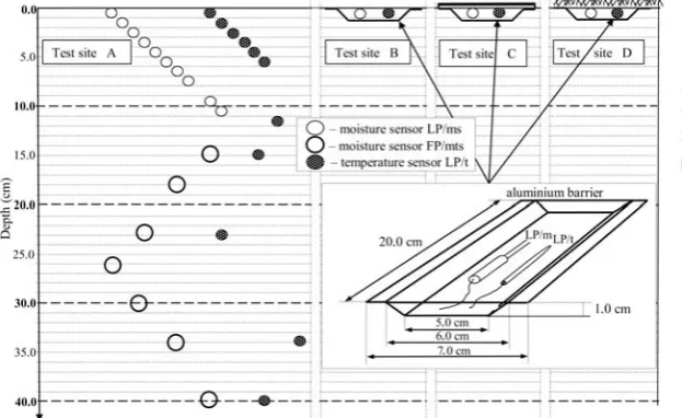 Fig. 3. Detailed plan of distribution of moisture and temperature sensors in experimental object.