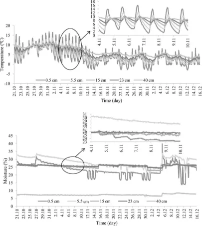 Fig. 5. Dynamics of soil temperature and dynamics of volumetric moisture at depths of 0.5, 5.5, 15, 23 and 40 cm.