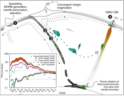 Fig. 4. Illustration of the preferred model for HIMU OIB genesis in 4 stages (white numbers in black circles)