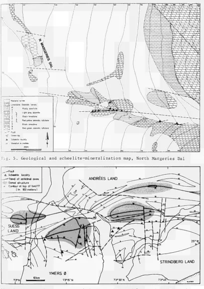 Fig. 5. Geological and scheelite-mineralization map, North Margeries Dal 