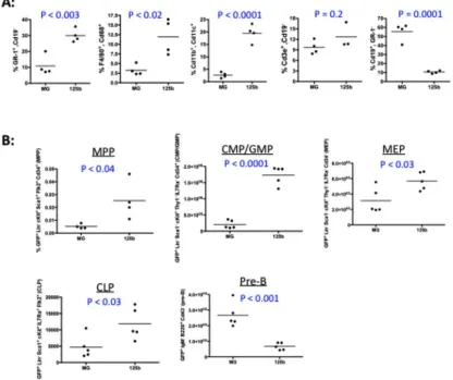 Figure 2: MiR-125b over-expression causes a skewing of the hematopoietic system at 