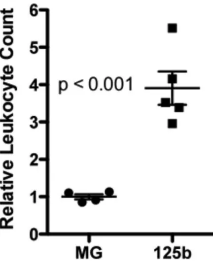 Figure S3: MiR-125b overexpression increases leukocyte count five months post-