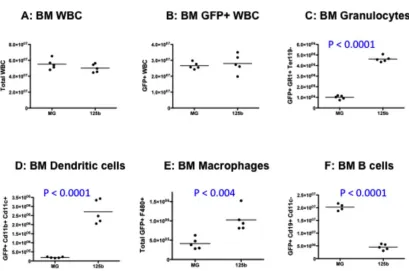 Figure S4: Bone marrow and peripheral blood from MG-125b animals early post- 