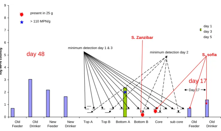 Figure 2.27 Salmonella levels in litter at feeder and drinker (before and after litter piling) and in different positions in the litter pile over time (Laravale, cycle 3, April 2007)