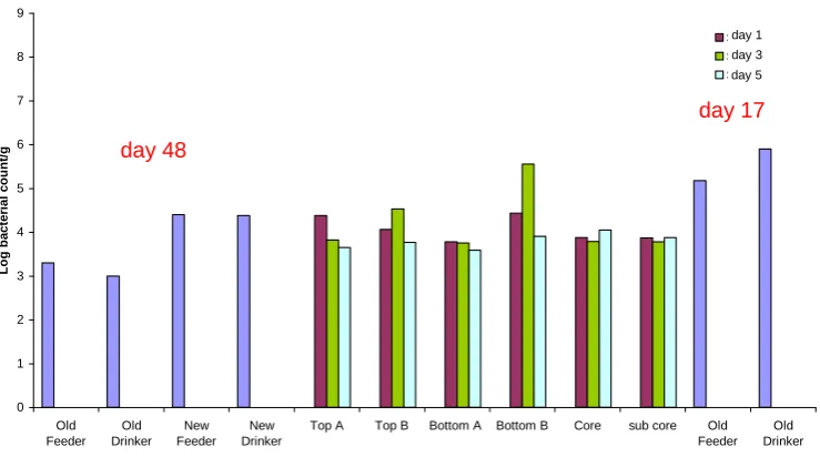 Figure 2.31 Cl. perfringens levels in litter at feeder and drinker (before and after litter piling) and in different positions in the litter pile over time (Laravale, cycle 2, January 2007)