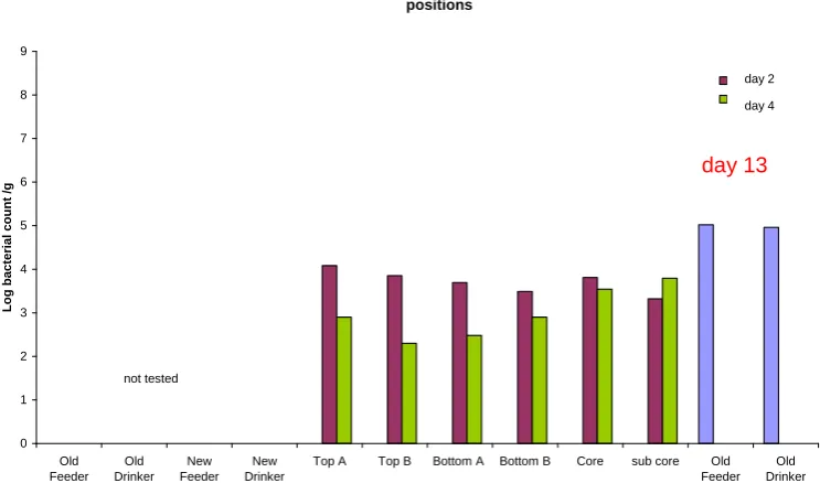 Figure 2.33 Bacillus levels in litter at feeder and drinker (before and after litter piling) and in different positions in the litter pile over time (Laravale, cycle 1, November 2006)