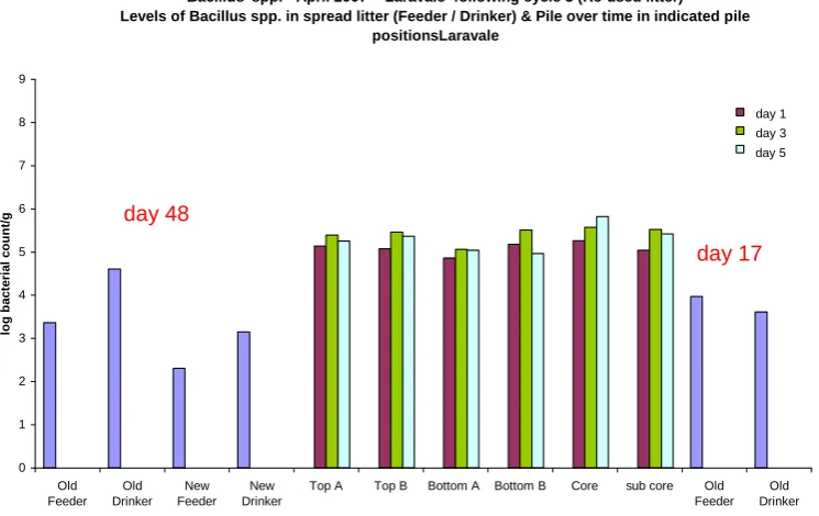Figure 2.35 Bacillus levels in litter at feeder and drinker (before and after litter piling) and in different positions in the litter pile over time (Laravale, cycle 3, April 2007)