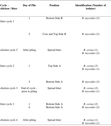 Table 2.3 Identification of Bacillus spp in litter from Laravale farm  