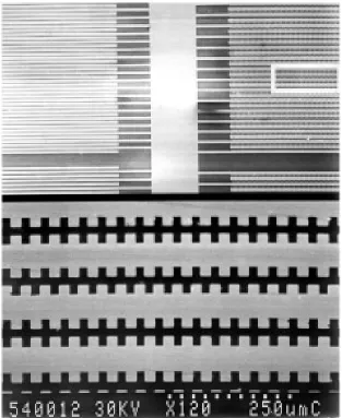 Figure 1. Scanning electron micrograph of a castellated microelectrode used for separation experiments
