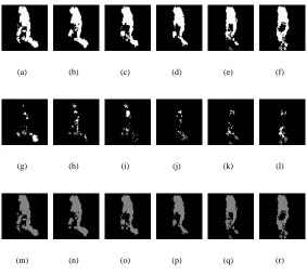 Figure 4: Sample temporal templates of a walking person