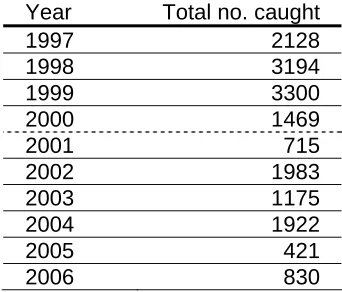 Table 3. Total numbers of blue swimmer crabs captured by survey year (Note: survey reduced  in area from 2001 onwards)