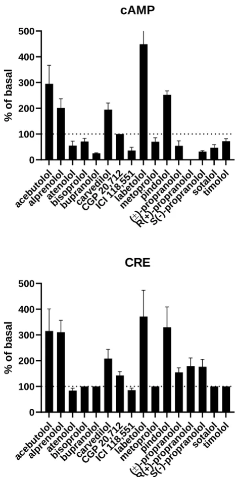 Figure 4: Efficacy for cAMP accumulation and activation of a cAMP response element (CRE) reporter gene in cells stably transfected with human β2-AR