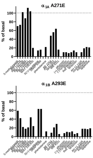 Figure 3: Inhibition of basal inositol phosphate formation in cells stably transfected with CAM of α1A-AR (A271E mutation) and α1B-AR (A293E mutation)