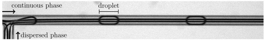 Figure 1.3: Segmented ﬂow, mass transfer and subsequently phase separation in one microﬂu-