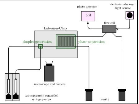 Figure 2.3: Complete setup for the mass transfer experiments