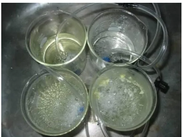 Figure 17.  Precipitation using bicarb or Tris after 24 h.   300 mgL-1 OTC with Tris 180 mgL-1 (left) or bicarb 600 mg L-1 (right)  