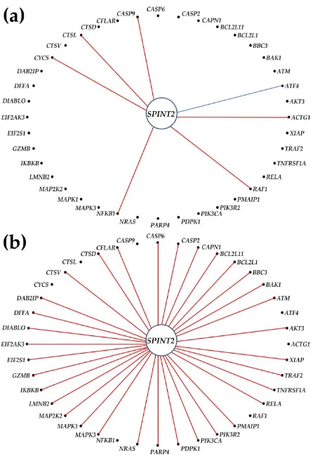 Figure 7 Expression coordination of SPINT2, the PTC-GMR with apoptosis genes in (a) NOR and (b) PTC