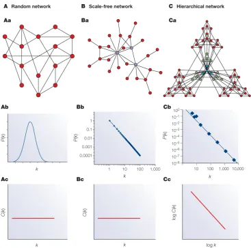 Figure 1.4:Distributions of random, scale-free and hierarchicalnetworks. Figure of networks with their respective node degree distributionsand clustering coeﬃcient distributions plotted below.Aa) A randomnetwork.Ab) The node degree distribution of a random