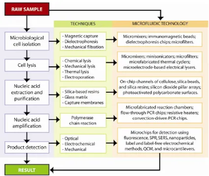 Figure 1.4: Flow-chart of chip-based DNA isolation, extraction, ampliﬁcation, and detection