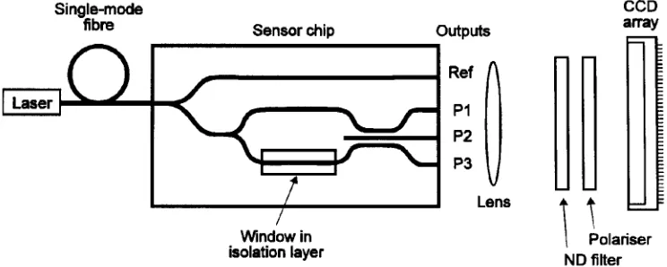Fig. 1 Experimental sensor system