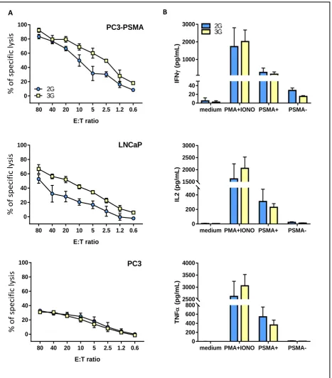 Figure 3. Functional characterization of the 2G and 3G CAR-expressing populations. (A) Lytic activity of the 2G (light blue) and 3G CAR (yellow)-expressing populations