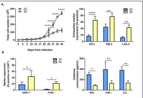 Figure 4. 3G CAR T cells become exhausted during in vitro expansion. (A) Left panel, expansion of the 2G (light blue) and 3G CAR (yellow)-expressing populations upon weekly antigen stimulation