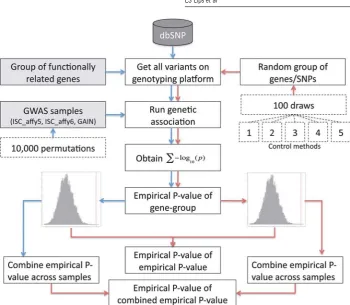 Figure 2Empirical distribution under the null hypothesis of no association between any single-nucleotide polymorphism(SNP) and the risk of schizophrenia