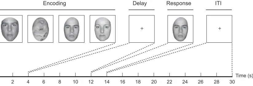 Fig. 1. This diagram shows the structure of the behavioral task. A set of our stimuli was serially presented during a 4-s encoding period