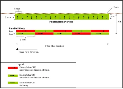 Figure 2. A standard shot, showing the two components: shots parallel and perpendicular to the bank