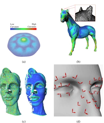 Figure 2.5: Mean curvature plots revealing surface details for: (a) a Loop surface from an 8-