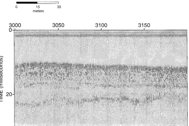 Figure 3. Single uncorrelated Chirp seismogram (Trace 3100) with associated power spectrum.
