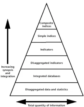Figure 1.2: The general method to obtain a composite index from a bunch of data at individual level