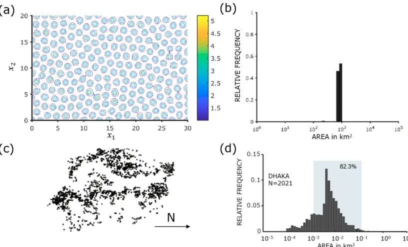 Figure 6. (Size distribution of concentration peaks from (a) with a threshold of 2. (a) Resulting pattern by homogeneous parameters (a = 0.2, b = 1, d = 50, γ = 70, t = 50)