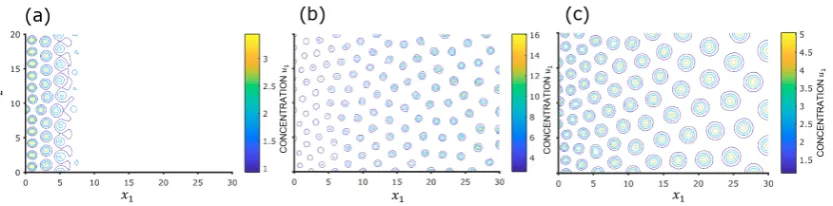 Figure 7. (a) Spatial pattern for g1 = 1 + 0.25x1 and g2 = 1 (b) Spatial pattern with g2 = 1 + 0.25x1and g1 = 1