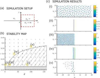 Figure 4. (pattern, just the concentraion difference due to the jump (parameter is outside of the Turing space (pattern in the whole area ( ), Turing pattern in the left half (byof the Turing space (the Turing space (a) Setup of the simulation area to inve