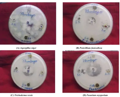 Figure 2 Show effect of different organic solvents of plant extracts  on four pathogenic fungus
