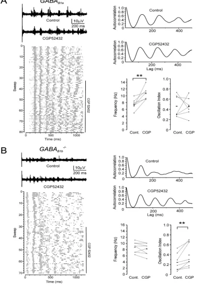 Fig. 2. Differential effects of GABAB(1a,2)blocking GABAexperiment. CGP52432 application is indicated by a vertical bar
