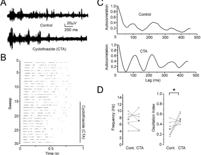 Fig. 5. Increasing thalamo-reticular EPSPs enhances spindle synchronicity. (A) Sample traces of MUR in somatosensory thalamus of a VGAT-ChR2-EYFP mouse recorded underover the entire experiment