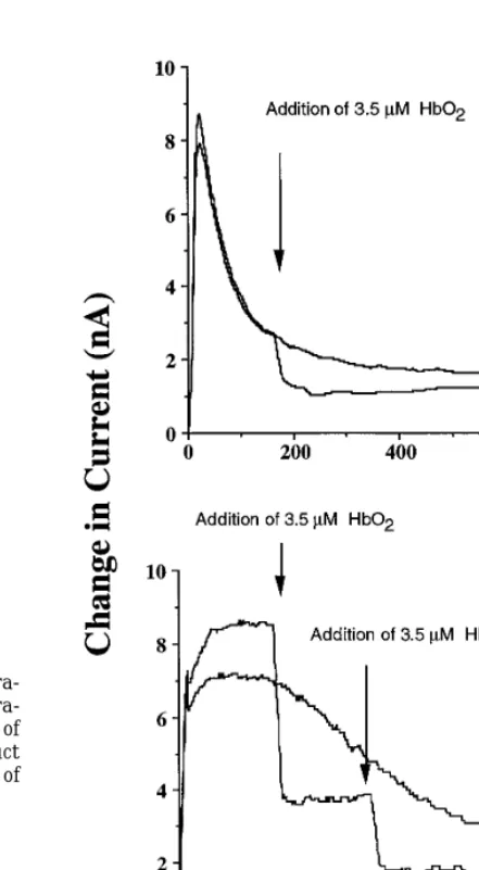 FIG. 1.Cell survival of V79 cells exposed to varying concentra-tions of AS for 1 h in the presence or absence of equimolar concentra-tions of ferricyanide (Fe(III)(CN)603) (A); or a ﬁnal concentration of1.0 mM Tempol or the corresponding one electron reduc