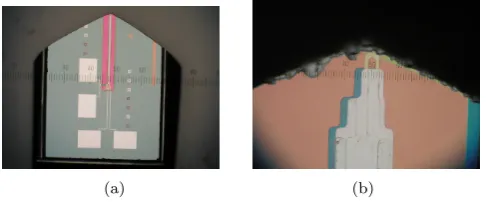 Figure 3.4: (a) An optical image of a cut sensor were the pickup loop is at the tip of the sensor