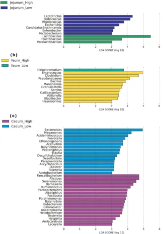 Fig. 4Mean proportion and their differences in functional metagenomics proﬁles of the ileum microbiome from low and high FCR broilers