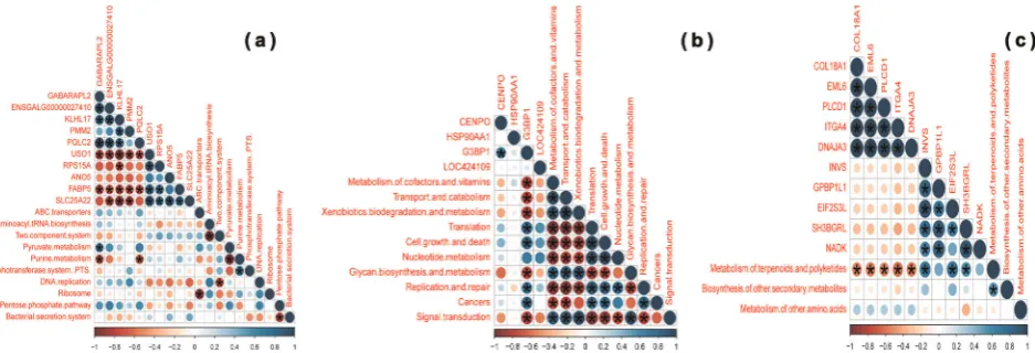 Fig. 5Mean proportion and their differences in functional metagenomics proﬁles at Level 2 a and Level 3 b of the ceca microbiome from lowand high FCR broilers